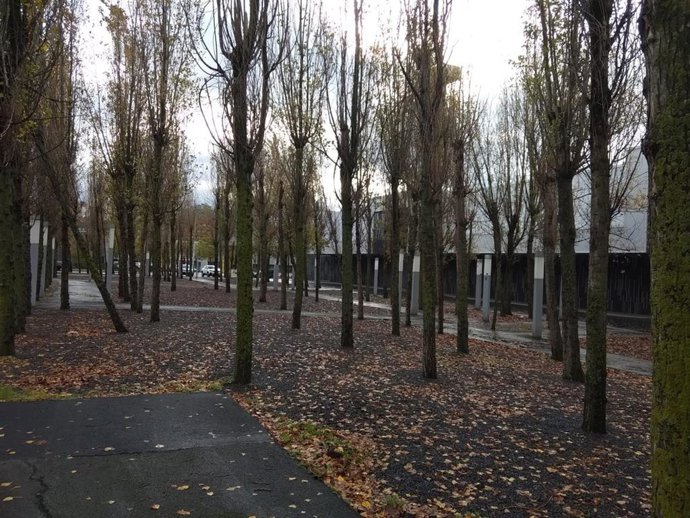 Tiempo nublado. Barakaldo (Bizkaia).