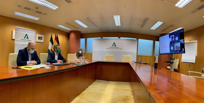 La Junta impulsa el desarrollo de las baterías para almacenamiento energético como sector de futuro en Andalucía