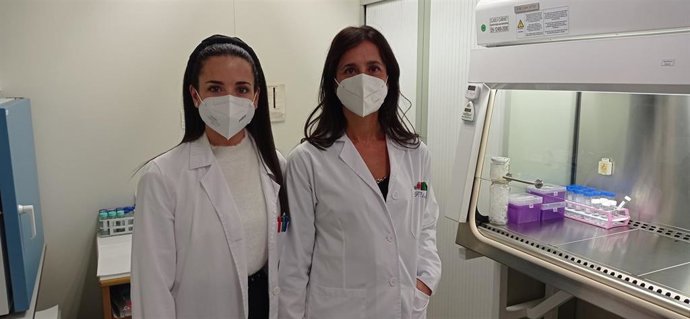 Investigadoras de la Universitat Politcnica de Valncia (UPV), en colaboración con el CIBER-BBN y la Universidad de Glasgow, han descrito un nuevo mecanismo de interacción entre receptores de la membrana celular.