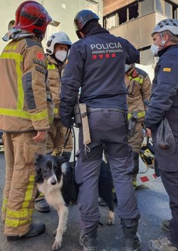Els Mossos d'Esquadra activen un gos especialitzat perqu busqui persones a l'interior de la nau que s'ha incendiat a Badalona (Barcelona), el 10 de desembre del 2020.