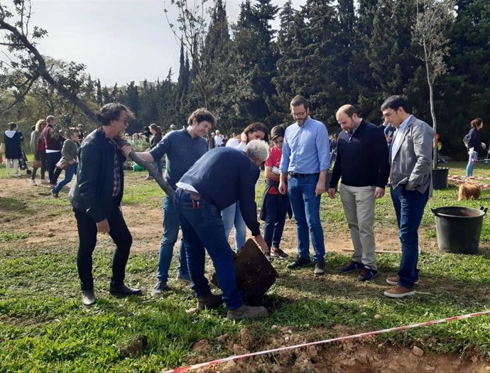 Ciudadanos y entidades han participado en la plantación de 300 árboles y especies arbustivas en el parque de Sa Riera (imagen de archivo).