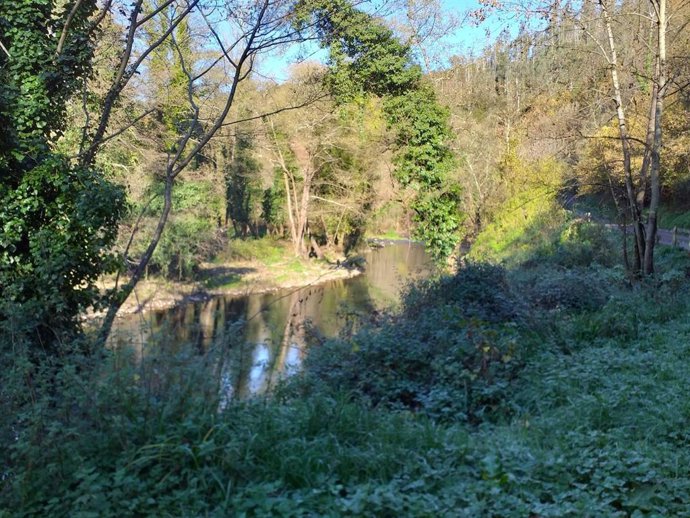 Río Nora, en Asturias.