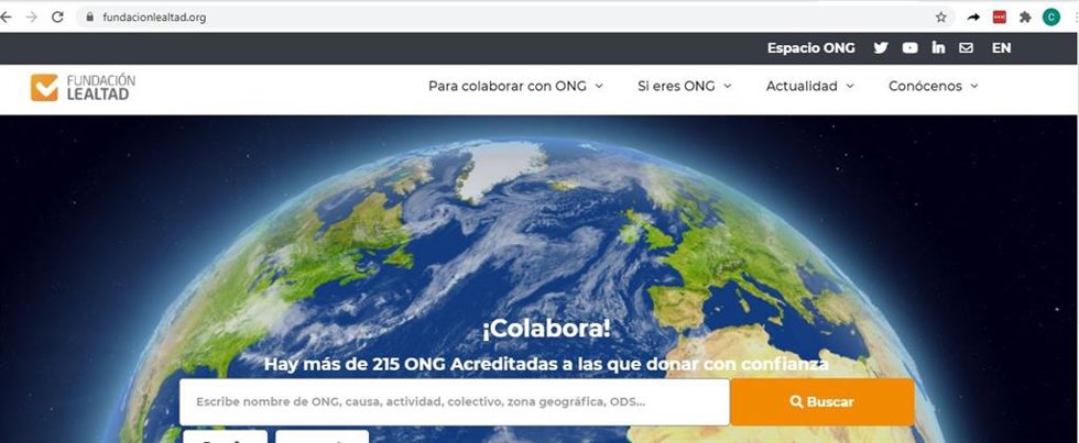Nueva Web de la Fundación Lealtal