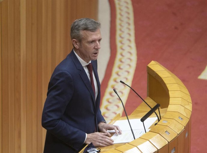 El vicepresidente de la Xunta, Alfonso Rueda, durante su intervención.