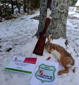 Pieza y arma decomisadas al cazador furtivo en Palazuelos de Eresma (Segovia).