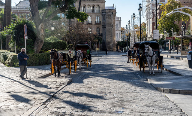 Coches de caballos aparcado junto al Archivo de Indias, en Sevilla a 05 de diciembre 2020