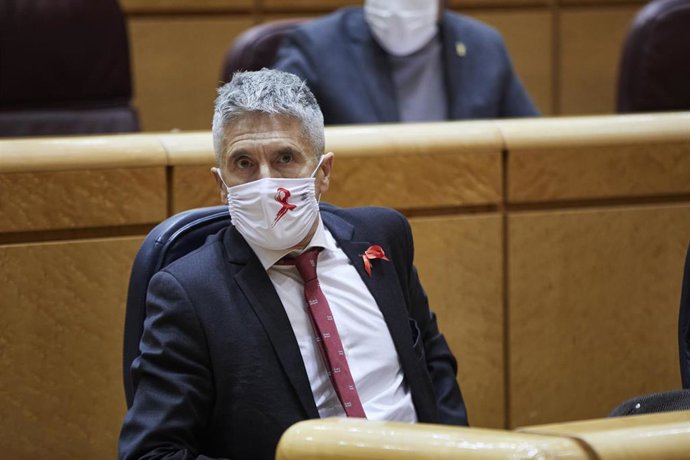 El ministro del Interior, Fernando Grande-Marlaska, en un Pleno del Senado