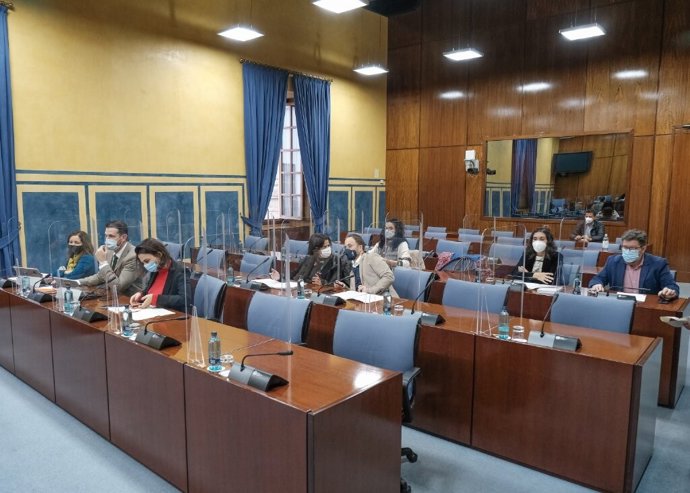 Diputados en la comisión de investigación de la Faffe constituida en el Parlamento andaluz.