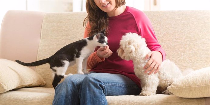 Perros y gatos, el 74% de los dueños de mascotas dice estar mejor durante el confinamiento.