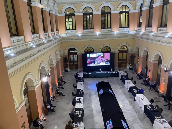 La consellera de Agricultura, Mae de la Concha, interviene en la reunión del Ministerio y las CCAA sobre la futura PAC.