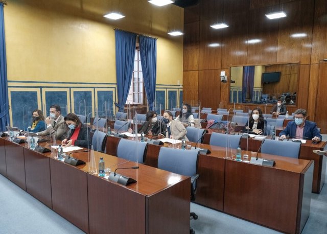 Diputados en la comisión de investigación de la Faffe constituida en el Parlamento andaluz.