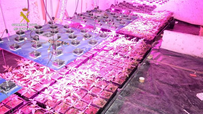 Rtdo. Nota De Prensa