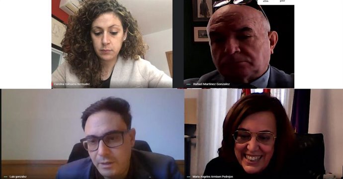 Reunión telemática entre la Diputación de Palencia y el Instituto de la Lengua.