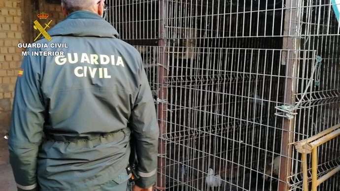 Jaulón con las aves.