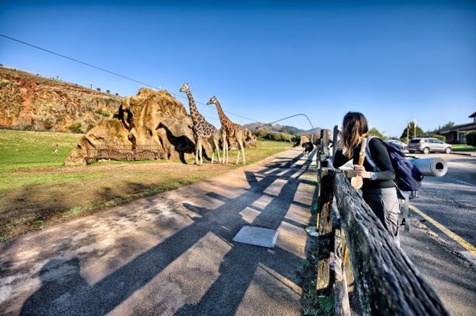 Recinto de las jirafas de Cabárceno