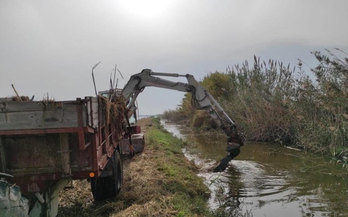 Recogida paja de arroz