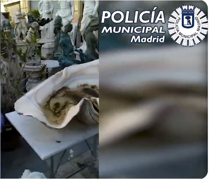 Requisadas 15 piezas de marfil, 10 estoques, una cabeza de caimán y corales en dos tiendas del Rastro