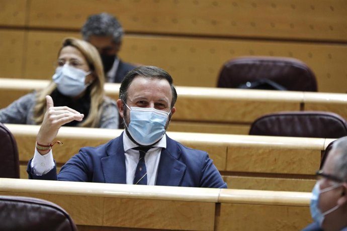 El senador del Partido Popular Pablo Ruz Villanueva, durante una sesión de control al Gobierno en el Senado, a 20 de octubre de 2020. 