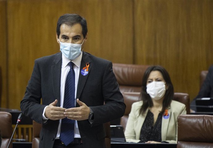 El portavoz del grupo parlamentario popular, José Antonio Nieto