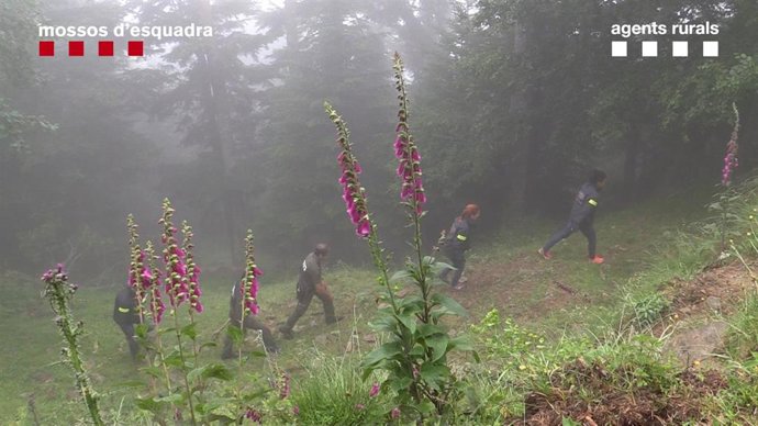Mossos d'Esquadra y Agents Rurals actúan en el Pirineu por la muerte del oso Cachou.