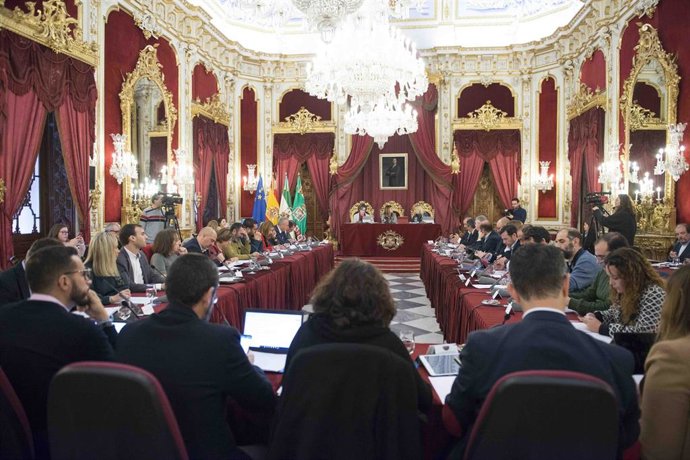 Ultimo pleno presencial de la Diputación de Cádiz el pasado mes de febrero
