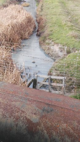 Aspecto de un arroyo en Aldeamayor de San Martín afectado por los vertidos.