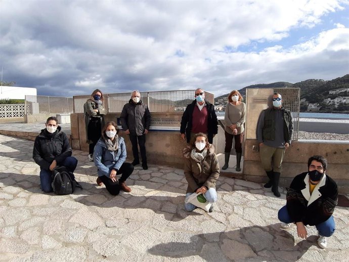 Voluntarios que custodiaron el nido de tortugas de Cala Mesquida (Menorca) visitan algunos de los ejemplares que se crían en Mallorca.