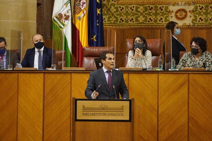 El portavoz del Grupo Parlamentario Popular, José Antonio Nieto