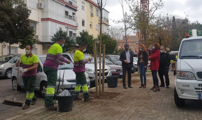 [Sevilla] Nota De Prensa Y Fotografía. Plantación Pío Xii. Distrito Macarena