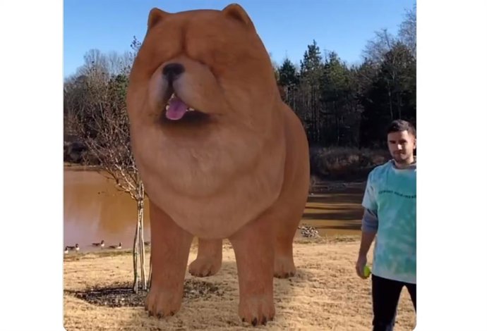 Animales en realidad aumentada desde el Buscador