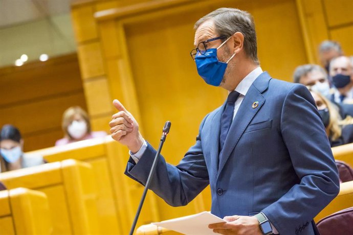 El portavoz del PP en el Senado, Javier Maroto, en la tribuna de oradores de la Cámara Alta