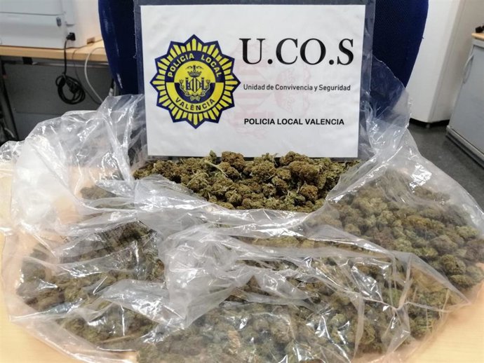 Marihuana incautada por la Policía Local de Valncia