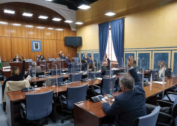 Los diputados de la Comisión de Hacienda y Financiación Europea del Parlamento andaluz votan el dictamen del Presupuesto de 2021.