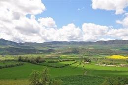 El Govern Recibe 457 Solicitudes De Ayudas Para El Desarrollo De Zonas Rurales Leader.