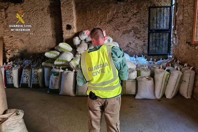 Un guardia civil, junto a los sacos de setas recuperadas.