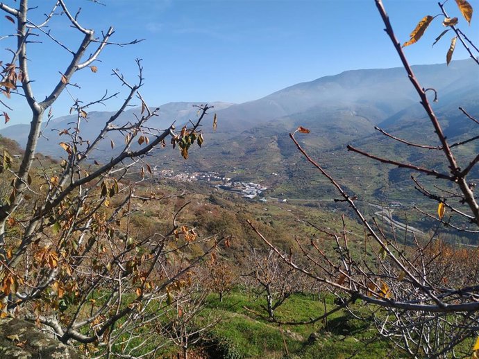 Valle del Jerte, uno de los principales destinos turísticos de la provincia de Cáceres