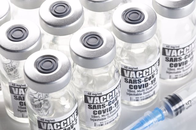 Coronavirus.- El ministro de Salud de Brasil asegura que el uso de emergencia de la vacuna "no es una solución"