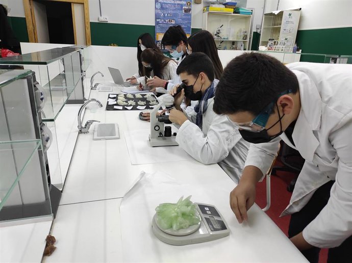 Cinco equipos de jóvenes, premiados en la décima edición del Concurso de cristalización en la escuela de Andalucía