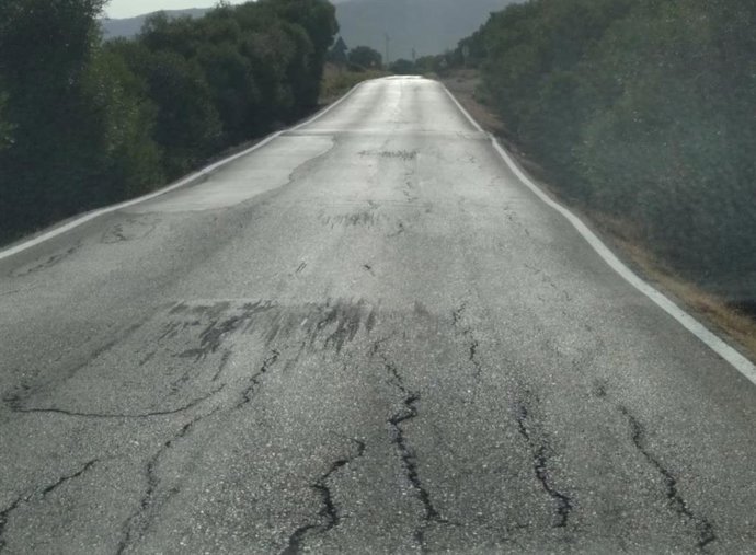 D Lino Ferrer Martín