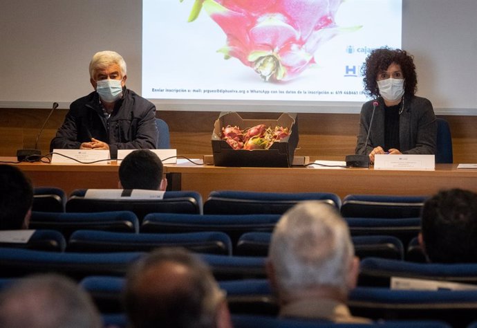 La presidenta de la Diputación de Huelva, María Eugenia Limón, durante la jornada técnica deciada al cultivo de la pitaya en Huelva.