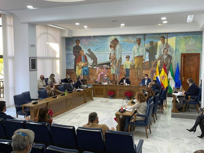 Pleno del Ayuntamiento de Rincón de la Victoria