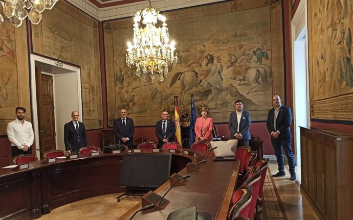 Grupo Mixto en el Senado