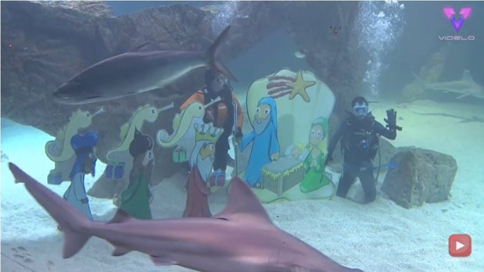 Dos buceadores se sumergen entre tiburones y peces para montar un belén bajo el agua