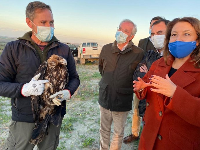 La consejera andaluza Carmen Crespo, en la suelta de un ejemplar de águila imperial en Sevilla