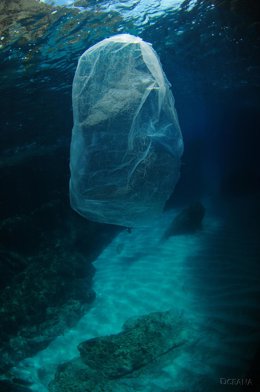 Bolsa en el mar en la punta de sa Xindria (Formentera).