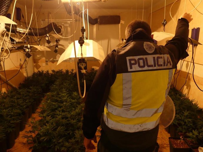 Descubiertos Dos Cultivos Interiores De Marihuana Durante El Lanzamiento De Una Vivienda