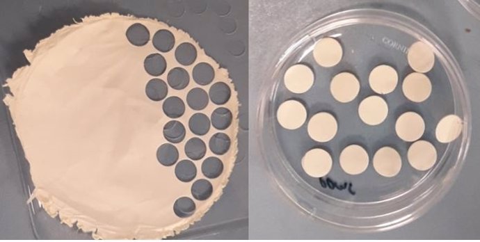 Investigadores de La Mayora y del Insttuto Italiano de Tecnología crean una tirita con restos de lana desechados que regenera células de la piel