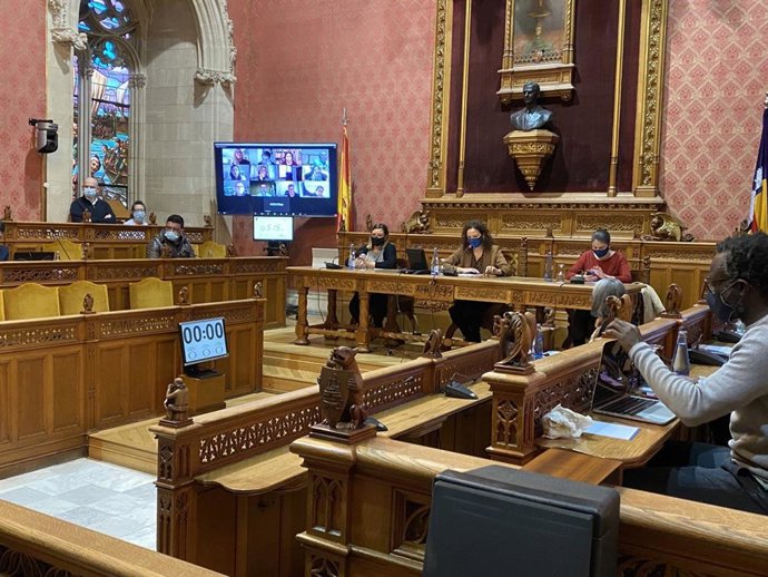 Pleno del Consell de Mallorca.