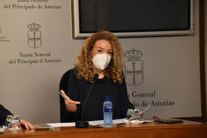 Teresa Mallada en rueda de prensa.