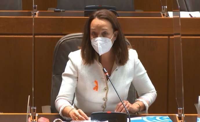 Foto de archivo de la diputada del PP en las Cortes de Aragón, Carmen Susín.